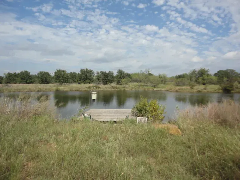 86.5 Acres in North Jack Co, photo 1 of 1