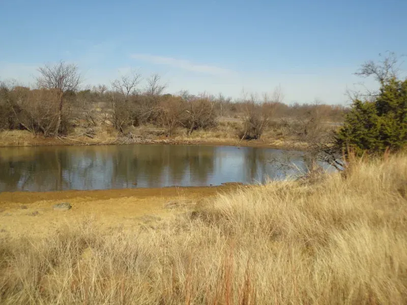 40 Acres, Jack Co. TX, photo 1 of 1