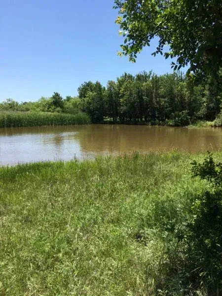 55 Acres – Young Co., photo 1 of 1
