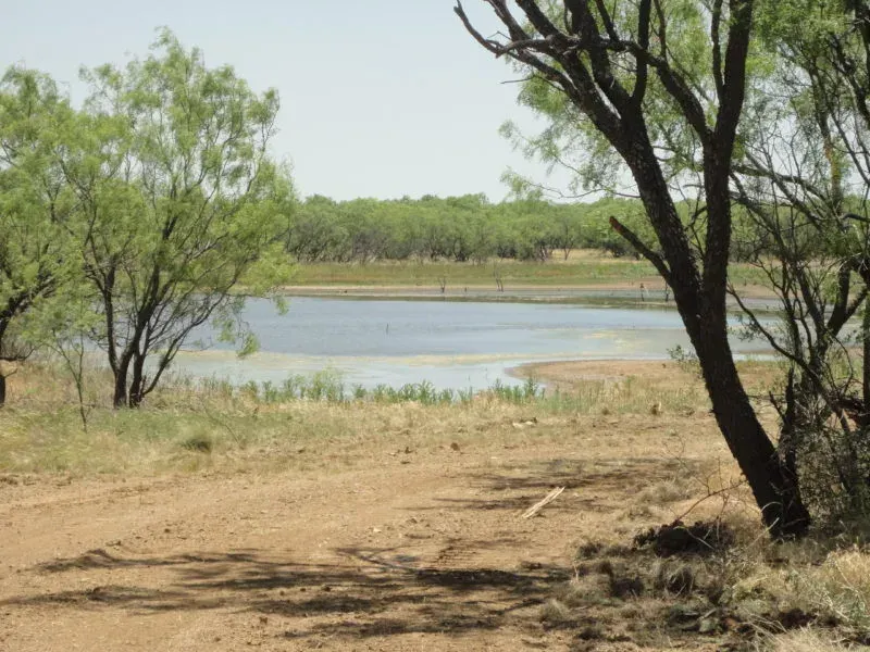 81.18 Acres FM 2950 – Jack Co., photo 1 of 1