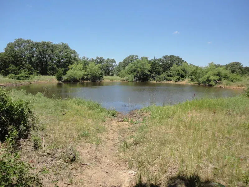 52.42 Acres – E Truce Road, photo 1 of 1