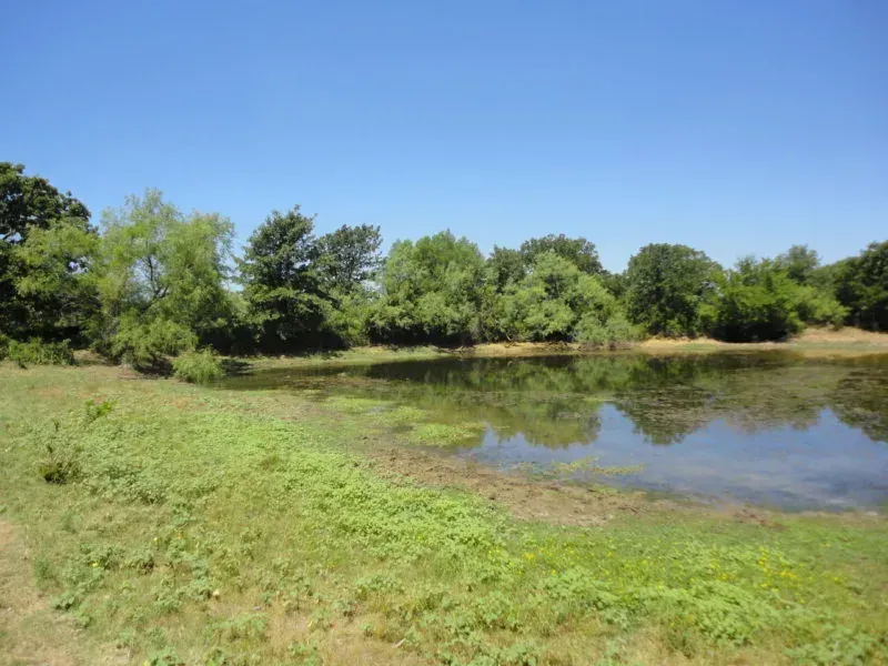 51 Acres, Jack County, TX, photo 1 of 1
