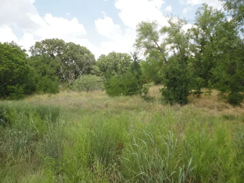 19.8 Acres – Jack Co, photo 1 of 1