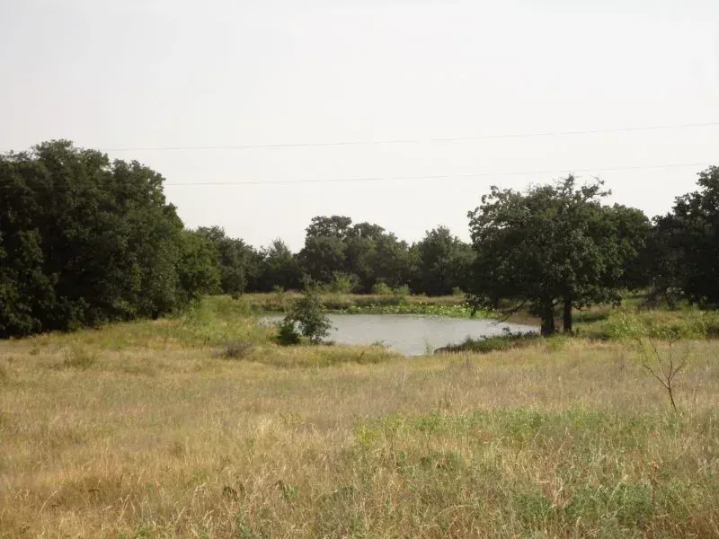 40 +/- Acres Jack Co., photo 1 of 1