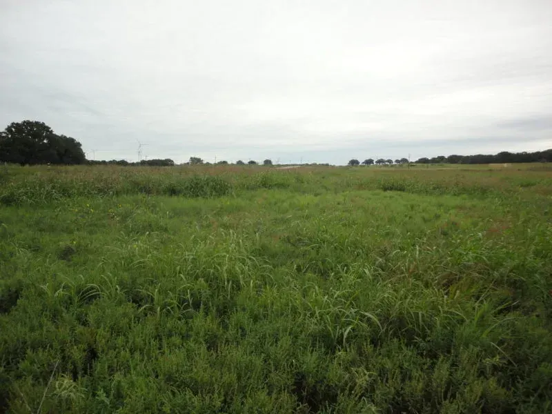10 Acres on Hwy 380 W – Jack Co, photo 1 of 1