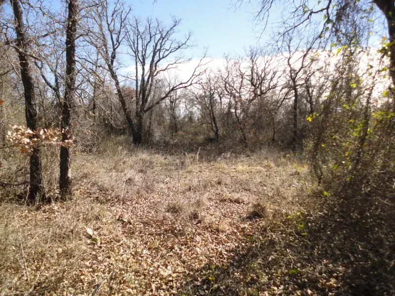 7.34 Acres – Marley Rd, photo 1 of 1