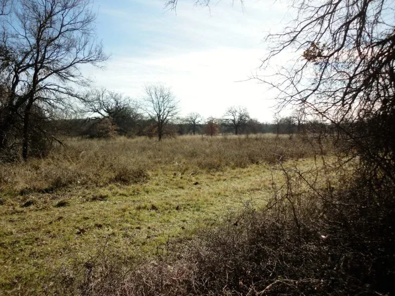 50 Acres – Post Oak Rd, photo 1 of 1