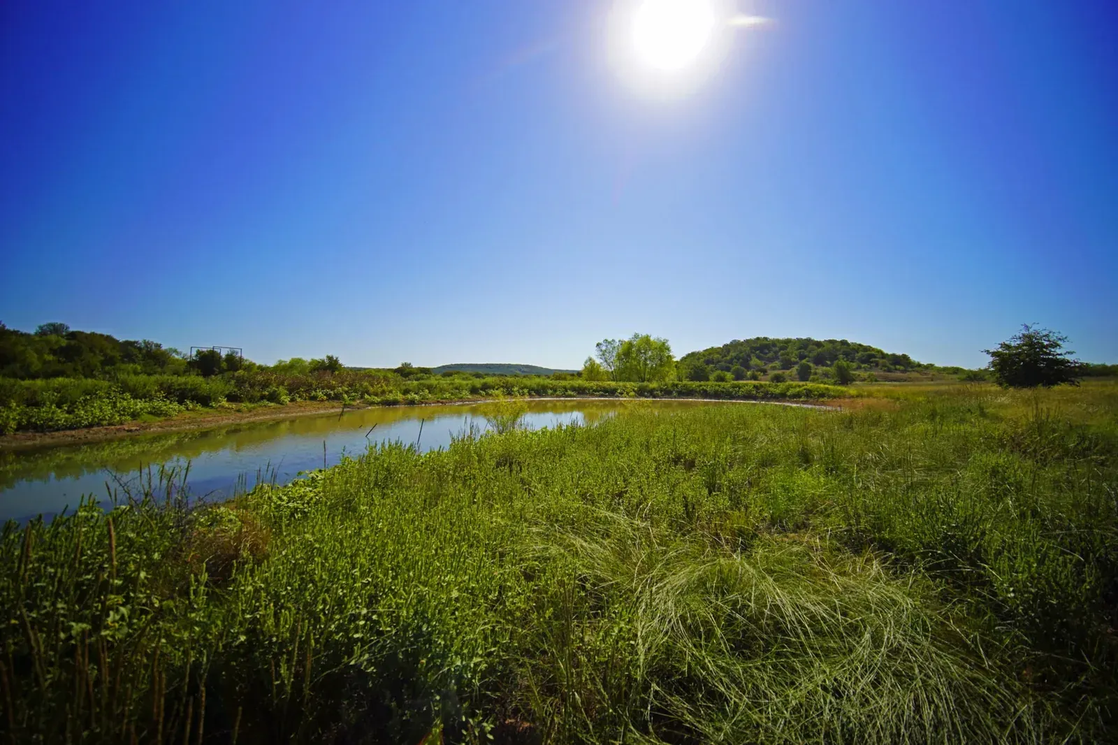 137.2 Acres – Roberts Branch Rd, photo 1 of 27