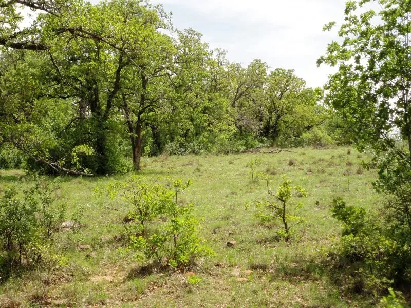 13.3 Acres – Hwy 114, photo 1 of 1