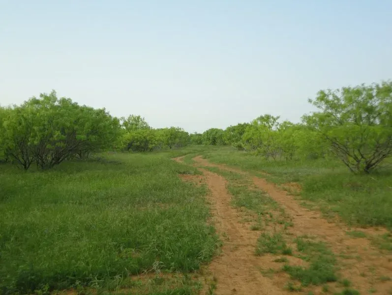 69.05 Acres – Roney Rd, photo 1 of 1