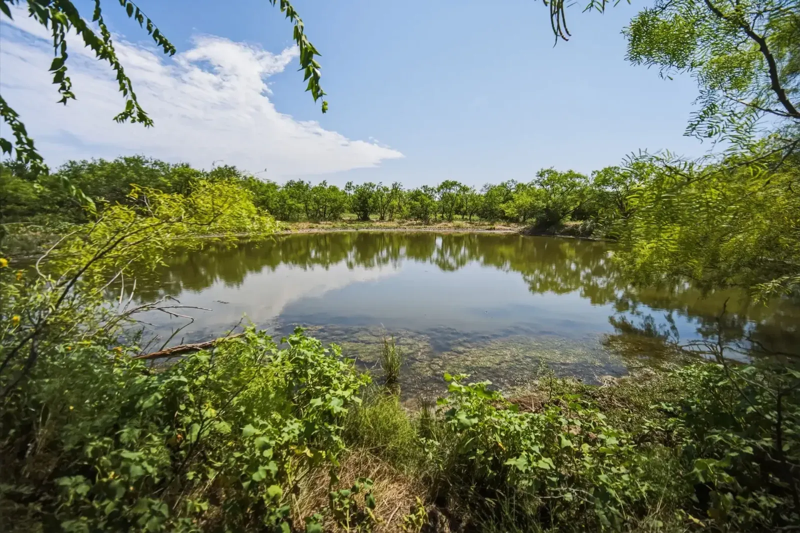 480 Acres – Tucker Road, photo 1 of 40