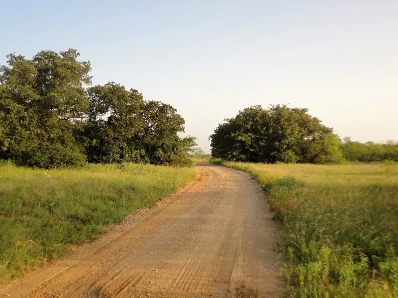 88.87 Acres – Loop Rd, photo 1 of 1