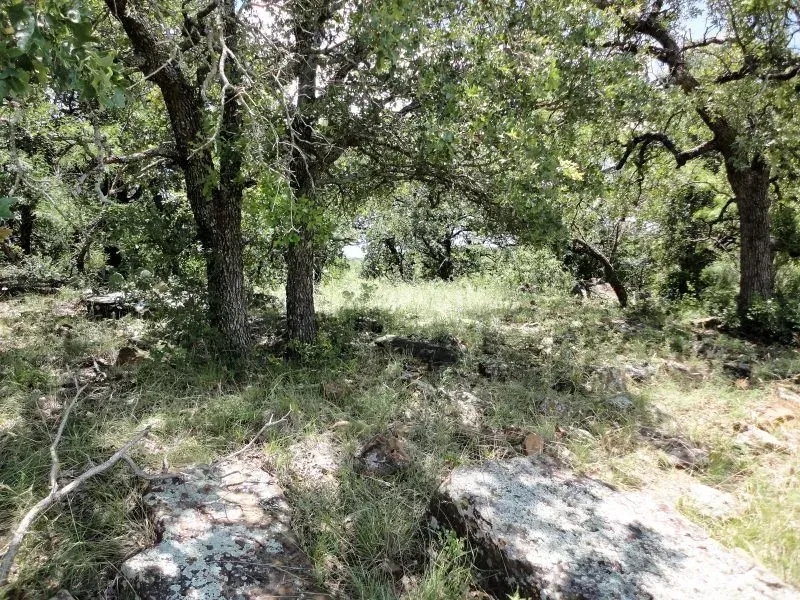 75 +/- Acres – Hwy 4, photo 1 of 19