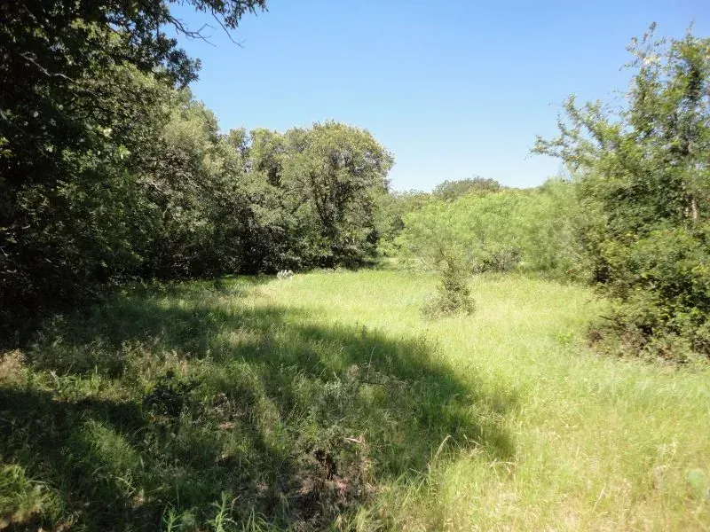 64.5 Acres – Hwy 16, photo 1 of 14