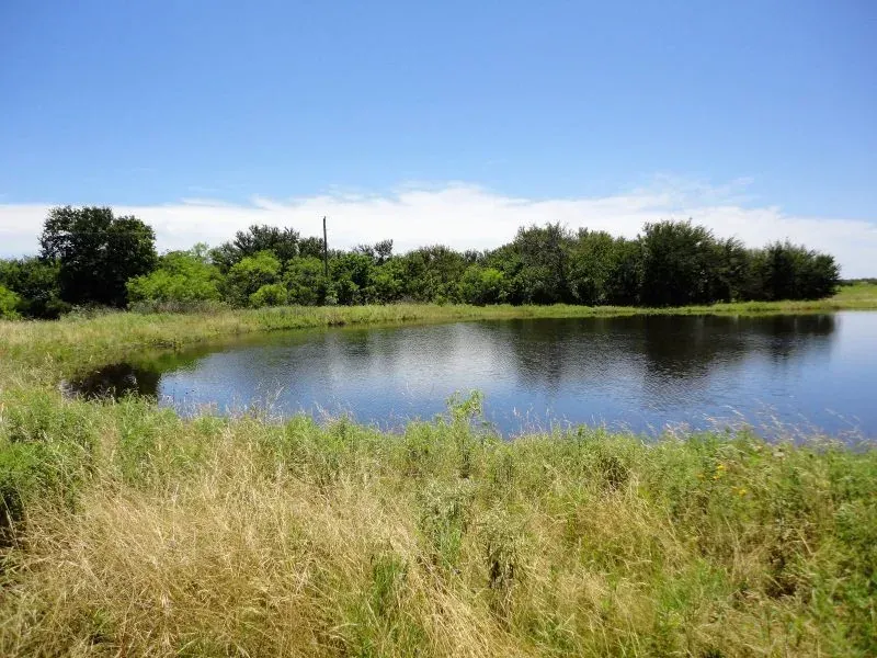 35 Acres – Halsell Ranch Road, photo 1 of 1