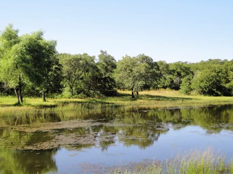 100 Acres & Residence on Eason Rd, photo 1 of 1