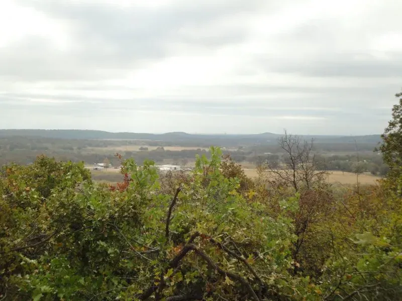 80 +/- Acres – Roberts Rd, photo 1 of 1