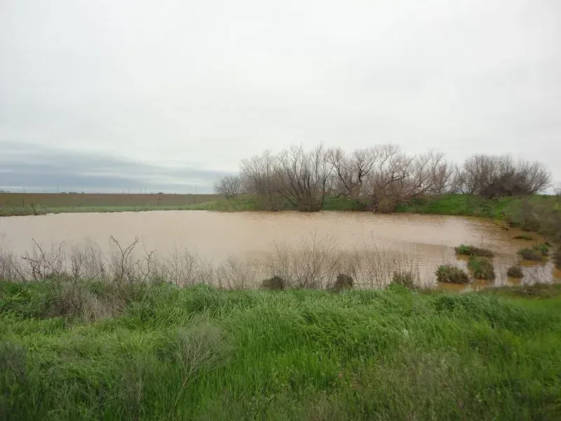 25 +/- Acres – Hwy 16, photo 1 of 1