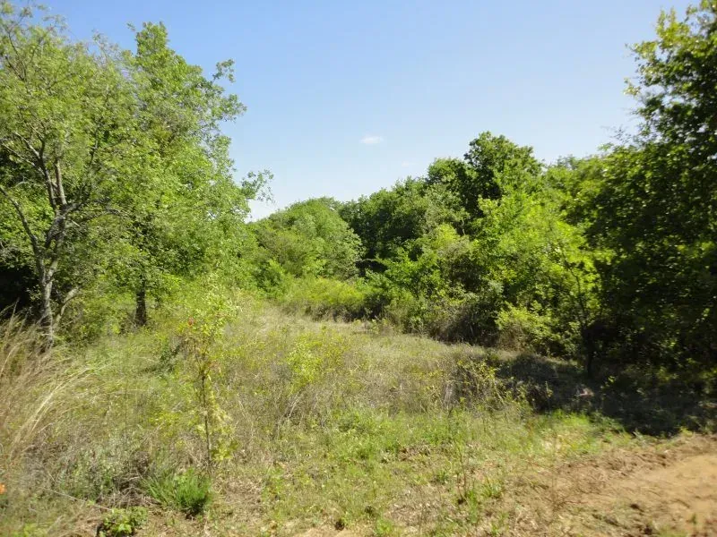16.11 Acres – E. Henderson Ranch Rd, photo 1 of 1