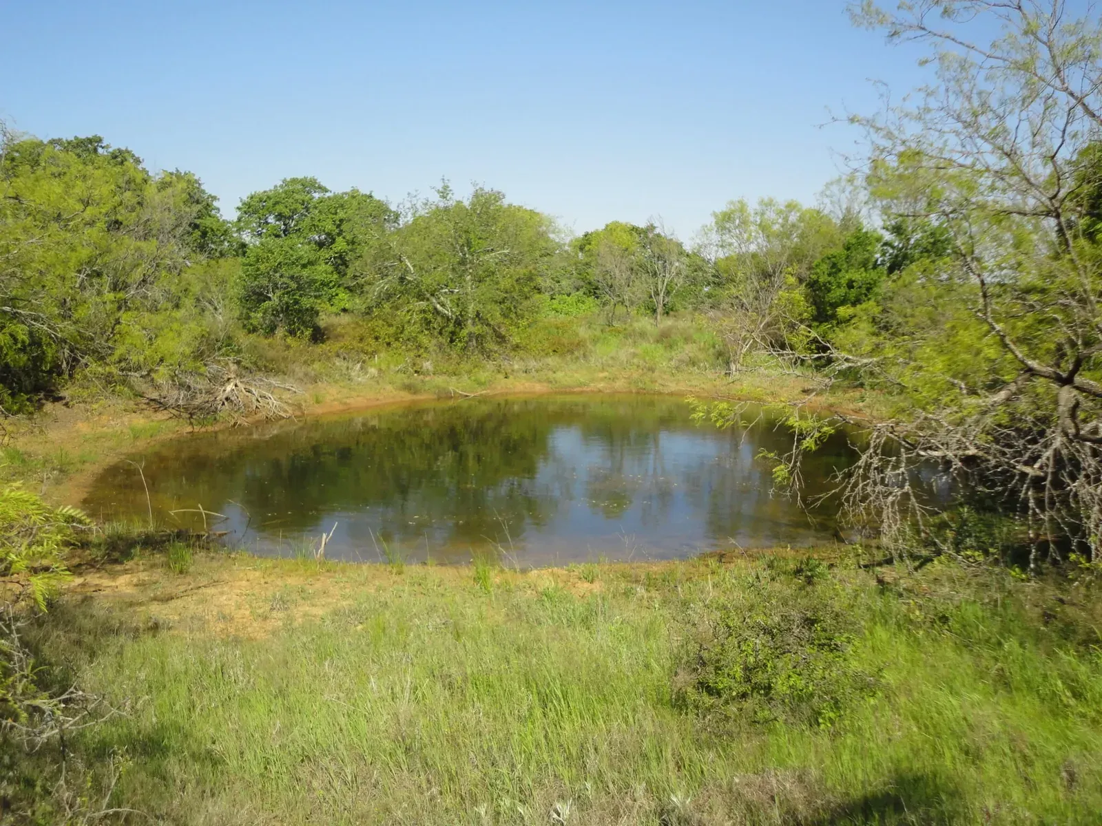 8.33 Acres – Hwy 281, photo 1 of 21