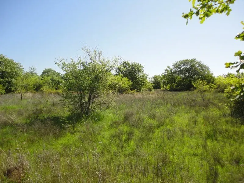 45.36 Acres – Mountain Home Rd, photo 1 of 1