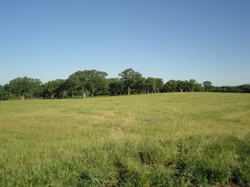 3.79 +/- Acres – CR 4678, Boyd, TX, photo 1 of 5