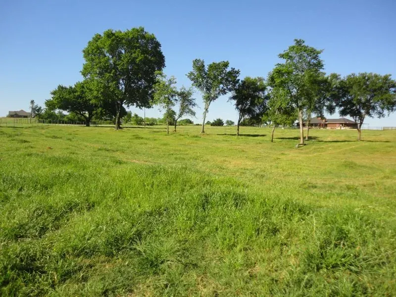 4.0 Acres – CR 4678, Boyd, TX, photo 1 of 1