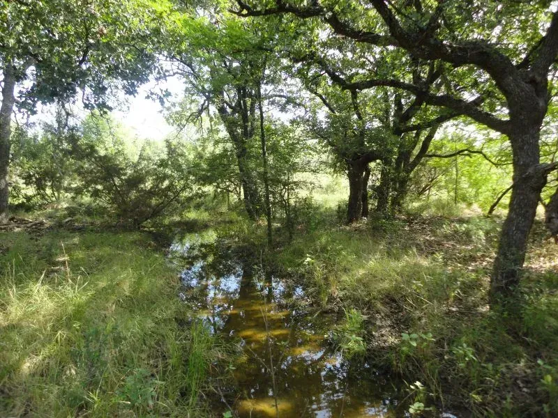 97.71 Acres – Teague Road, photo 1 of 1