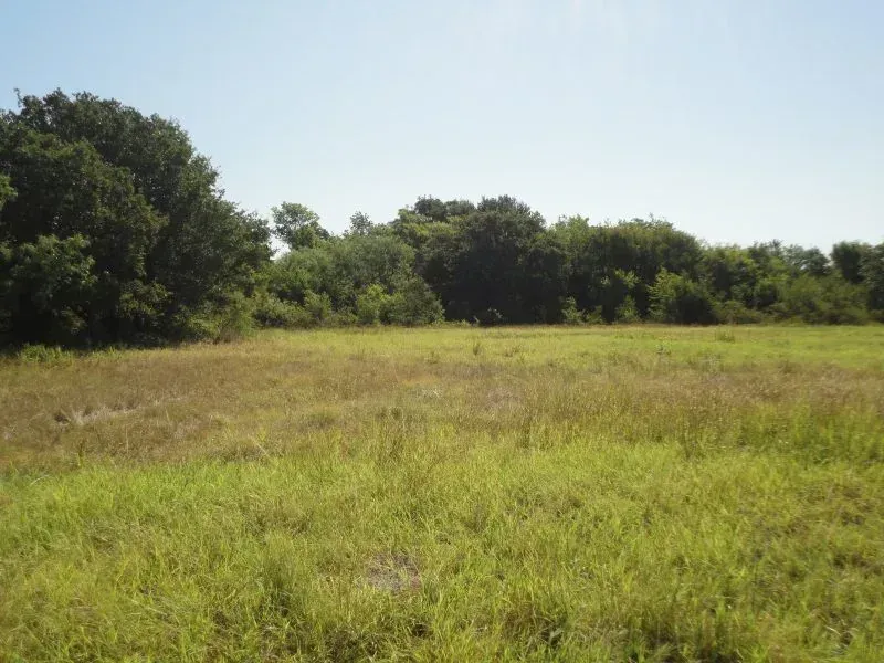 37 +/- Acres on Tillery Road, photo 1 of 1