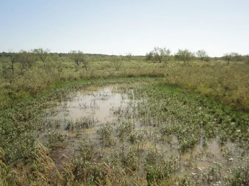 36 Acres – FM 1191, photo 1 of 1