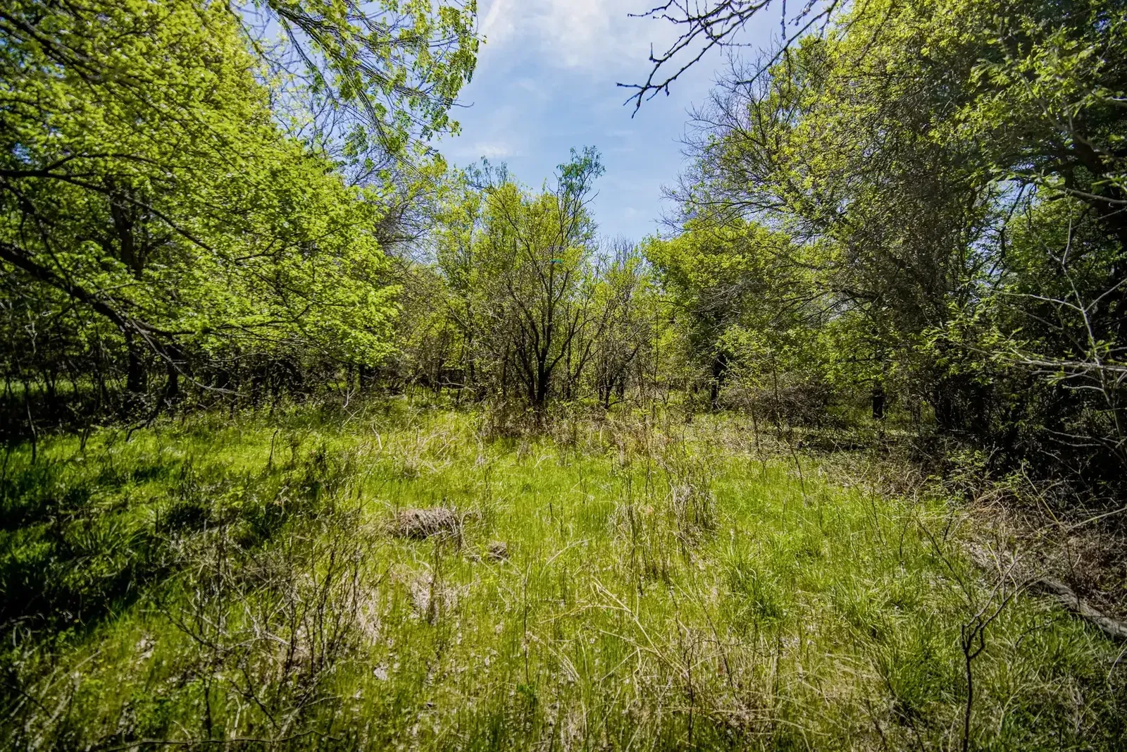 100 Acres – FM 2950, photo 1 of 50