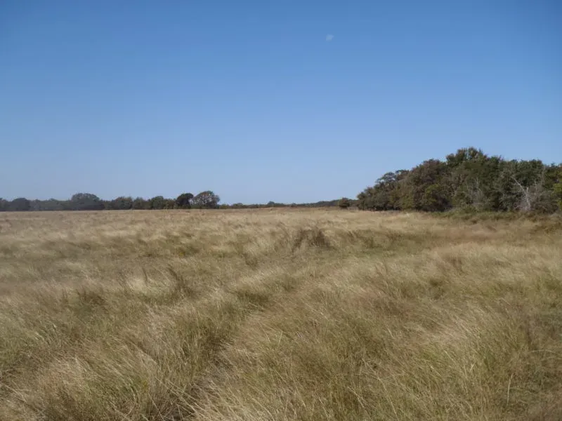 70 Acres-Jack County, TX, photo 1 of 1