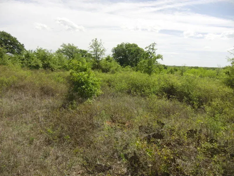 40 Acres, Jack Co., TX, photo 1 of 1