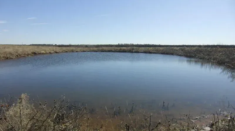 227 Acres-Clay Co., TX, photo 1 of 1